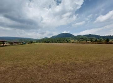 Terreno comercial · 90000m² · Terreno en Renta - (4)