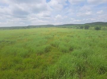 Terreno / Lote · 50000m² · Terreno - Venta - Camachito - Linares Nl - Lamudi - Inmuebles24