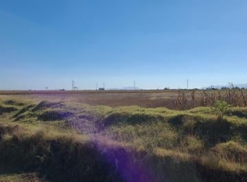 Terreno / Lote · 195000ha · Terreno en Venta