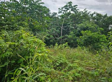 Terreno / Lote , Tulum · Terreno en Venta en Región 15 Tulum