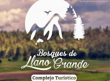 Terreno / Lote · 1000m² · Terrenos en Venta en Fracc. Bosques de Llano Grande