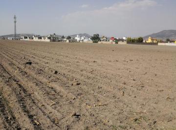 Terreno / Lote · 16000m² · Terreno - Buenavista