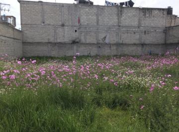 Terreno / Lote · 386m² · Terreno Venta El Seminario