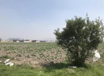 Terreno / Lote , Chalco · Venta Terreno Libramiento Chalco (Cerca Walmart)