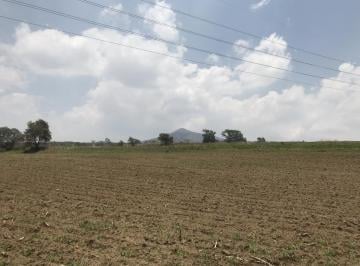 Terreno / Lote · 7269m² · Venta Terreno en Tenango del Aire