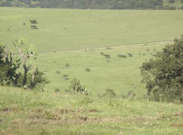 Terreno / Lote · 1550000m² · Venta Terreno, Jilotepec de Molina Enríquez