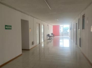 Oficina , Benito Juárez · Excelente Oficina en Renta Lago Poniente
