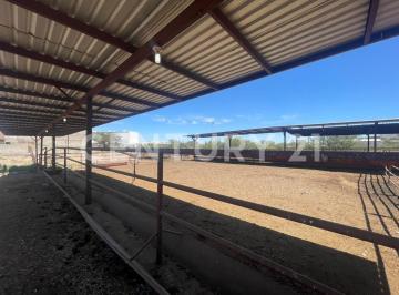 Terreno / Lote · 40m² · Terreno en Venta Las Animas, Chihuahua
