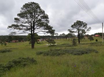 Terreno / Lote · 1829m² · Terreno en Venta Paraiso de La Sierra - (4)