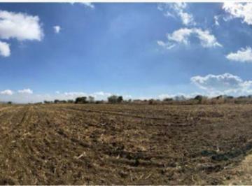 Terreno / Lote · 33770m² · Terreno en Tlajomulco 3.7 Ha