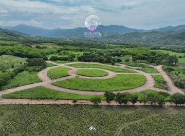 Terreno / Lote , Santa María Colotepec · Terrenos en Venta a 20 Minutos de Puerto Escondido, Oaxaca