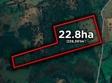 Terreno industrial , Alvarado · 22.8 Hectáreas en Venta La Aguada Veracruz | Arlette Flores