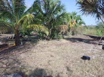 Terreno / Lote de 2 habitaciones, Puerto Morelos · Terreno 5000 m Leona Vicario Pueblo