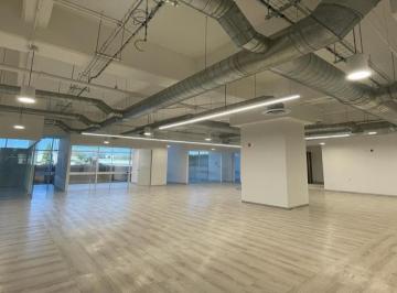 Oficina , Alvaro Obregón · Oficinas en Renta Acondicionadas