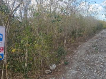 Terreno / Lote · 10107m² · Terreno en Venta en Mérida Yucatán por Autódromo