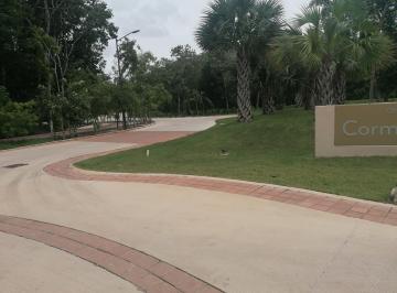 Terreno / Lote , Solidaridad · Terreno Residencial en Venta Country Club Mayakoba