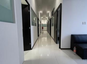Departamento de 1 habitación, Coyoacán · Renta de Habitaciones en Miguel Ángel de Quevedo