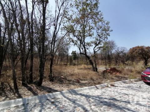 Ref: 2 3 5 0 7 6. ¡Atención inversores y constructores! Les present…