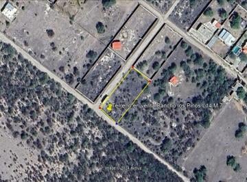 Terreno / Lote · 2100m² · Terreno en Venta en Rancho Los Pinos 2,100 m² - (4)