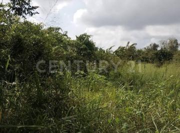 Terreno / Lote · 16000m² · Terreno en Venta Tetecalita, Emiliano Zapata
