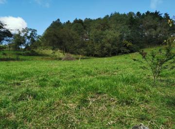 Terreno / Lote · Venta de Hectáreas Camino a Teocelo