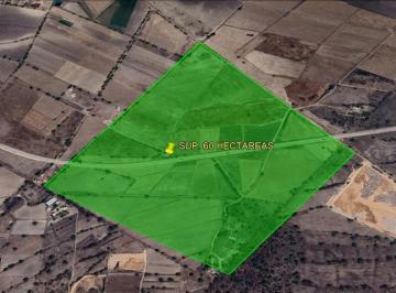 Terreno / Lote · 600000m² · Terreno en Venta en Zumpango, Edo. Méx. Sup. 60 Hectáreas. Bicentenario