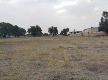 Terreno / Lote · 6500m² · Terreno Sobre Av Cuauhtémoc, Santa Ana, Nextlalpan. Edo. Méx. Sup. 6,500 m²