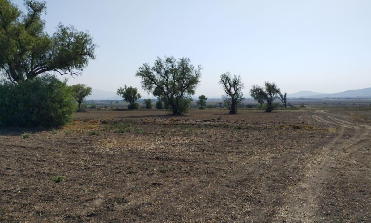 Terreno en Temascalapa, Edo. Méx. Superficie 12 Hectáreas
