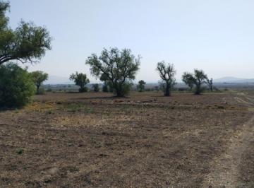 Terreno / Lote · 120000m² · Terreno en Temascalapa, Edo. Méx. Superficie 12 Hectáreas