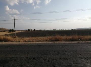 Terreno / Lote · 65000m² · Excelente Terreno Agricola en Ejido Tequisquiapan Sup. 6.5 Ha