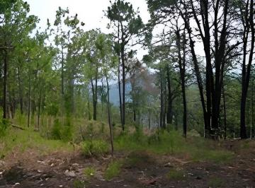 Terreno / Lote · 1746000m² · Terreno Minero Ecoturístico Tejupilco Hidalgo, Estado de México 174 Ha