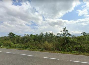 Terreno / Lote · 500000m² · Terreno 50 Ha Para Desarrollo Detrás de Ejido Playa del Carmen