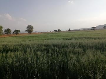 Terreno comercial · 4000m² · Terreno Para Casa Campestre La Lagunita Tequisquiapan Querétaro Sup 4000 m