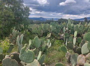 Terreno / Lote · 17896m² · Terreno en Otumba, Estado de México. Sup. 17,896.12 m²