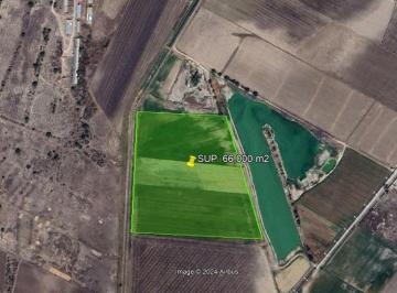 Terreno / Lote · 66000m² · Terreno en Las Pintas, Temascalapa, Edo. Méx. Sup. 66,000 m²