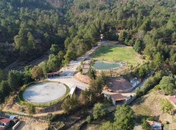 Rancho · 652m² · 5 Recámaras · Rancho en Venta - (4)
