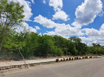 Terreno / Lote · 1000m² · Terreno en Venta en Mérida en Residencial Dzidzil - Há con Alta Plusvalía