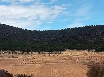 Terreno / Lote · 30000m² · 3 Hectáreas Agrícolas en Venta