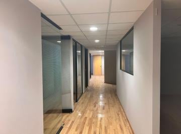 Oficina · 450m² · 4 Estacionamientos · Oficina en Renta, Anzures