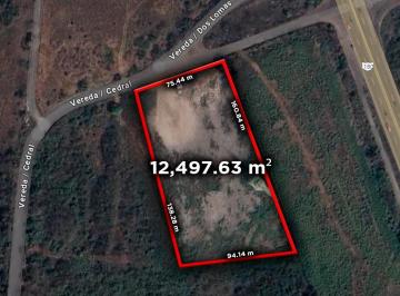 Terreno / Lote , Medellín · 1.2 Hectáreas en Venta en Dos Lomas Veracruz | Arlette Flores