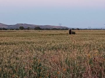 Terreno comercial · 87840m² · Venta de Terreno Agricola - (4)