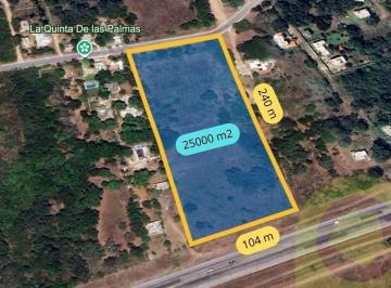 Terreno / Lote · 25000m² · Terreno en Venta a Bordo de Carretera a 1 Min de Puente Tampico.