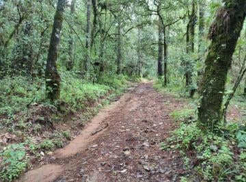 Terreno / Lote · 300000m² · Terreno de 30 Hectáreas Cerca de Avándaro