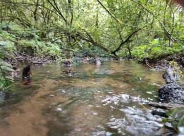 Terreno / Lote · 260000ha · Terreno con Río y Manantial Cerca de Avándaro, 26 Hectáreas