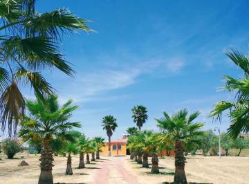 Terreno / Lote · 23055m² · Terreno en Peñuelas