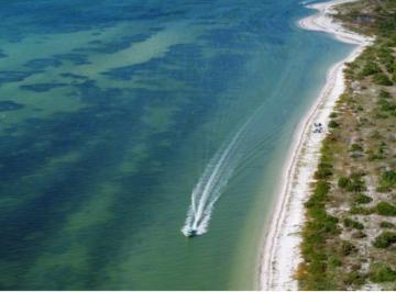Terreno / Lote · 600m² · Terreno Frente Al Mar en Venta en Celestún Yucatán | Playa y Alta Plusvalía