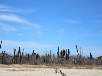 Terreno / Lote , Los Cabos · Ultimos Lotes - Santa Lourdes Cabo San Lucas