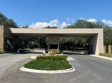 Terreno / Lote · 2000m² · Terreno - Montemorelos