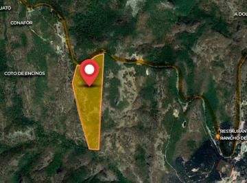 Terreno / Lote · 116000m² · Terreno en Venta Santa Rosa Guanajuato