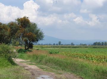 Terreno comercial , Tarímbaro · Uruetaro, Venta Terrenos Agricolas